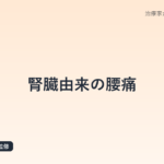 腎臓由来の腰痛|尿路結石・腎盂腎炎・腎臓がんの見分け方を鍼灸師が解説