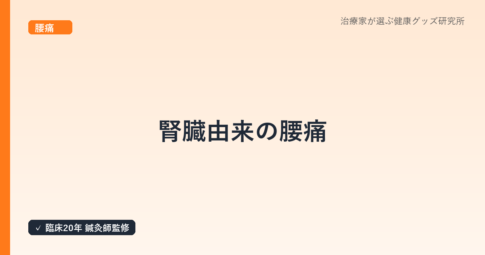 腎臓由来の腰痛|尿路結石・腎盂腎炎・腎臓がんの見分け方を鍼灸師が解説