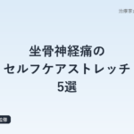 坐骨神経痛のセルフケアストレッチ5選｜お尻〜太もも裏を緩める鍼灸師の手順